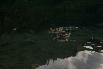 Summer sunset in the alps mountains, Northern Austria. Europe