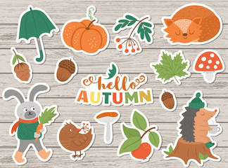 Vector autumn sticker pack. Cute fall season icons set for prints, badges.  Funny illustration of forest animals, pumpkins, mushrooms, leaves, harvest, vegetables, birds .