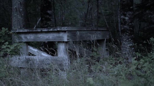 Old wooden shooting bench in forest. Dark cinematic look.
