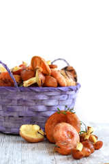 Fresh raw mushrooms . Autumn Mushrooms on a wooden rustic table. Forest mushrooms in a wicker basket on an isolated white background. Vertical format. Copy space