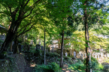 大雄山最乗寺の境内