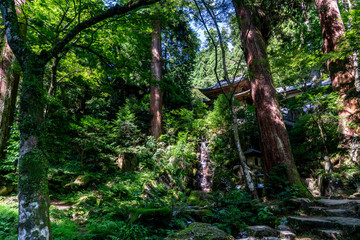 大雄山最乗寺の庭園