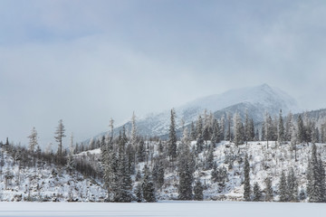 Obraz premium December winter landscape snowy weather day time forest and highland hill