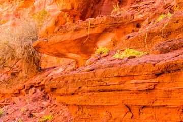 Talampaya National Park, La Rioja, Argentina