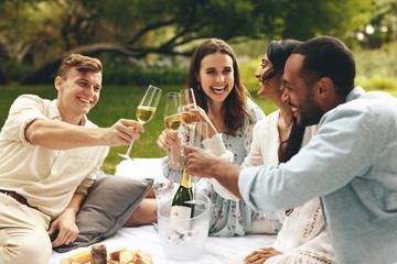 Friends on picnic having champagne