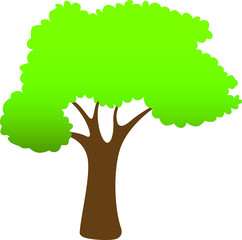 Green Spring Tree. Vector Illustration. Plant in garden.
