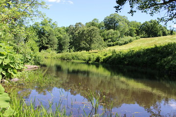 pond in the park