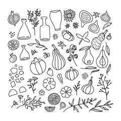 Thanksgiving and autumn traditional symbols in doodle style collection. Set of hand drawn design elements for greeting card, invitation, poster templates - fig, pumpkin, branches, leaves , bottles.