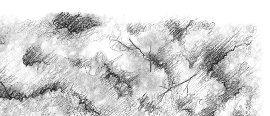 Black and white monochrome tree nature pencil sketch line art texture