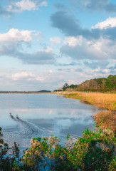 Huntington beach state park marsh in summer