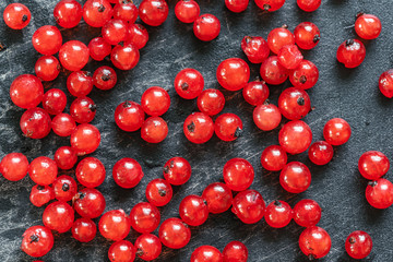 Abstract background with scattered red currant berries on a dark gray backdrop