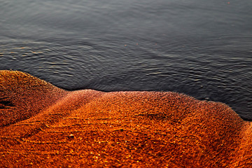 Shining golden sand and water