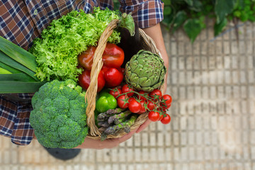 Assortment or farmer market bio organic ripe vegetables in hands