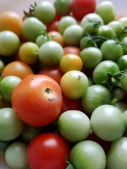Red and green tomatoes on a plate
