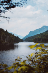 Jacques-Cartier National Park, Quebec, Canada in summer