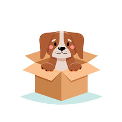 Adopt a pet - cute dog in a box, isolated on white background
