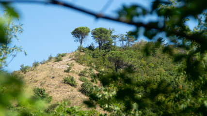 Panorama dal sentiero a Serra San Quirico
