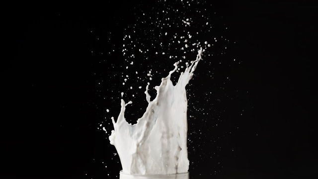 Milk splash on dark background