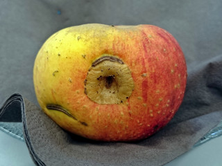 Apfel: ursprünglich gewachsen und aussortiert - schmackhaft, aber durch das Raster gefallen