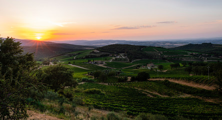 Beautiful sunset in the Tuscan countryside in a summer day with vineyards near Montalcino