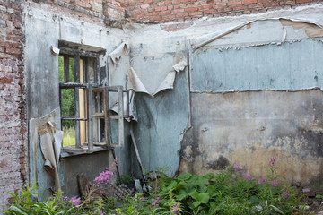 View from the window of an abandoned house