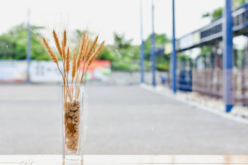 incense sticks in a glass bowl