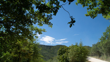 Panorama dal sentiero a Serra San Quirico