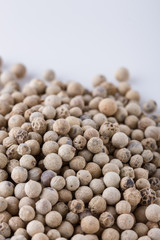 white peppercorns seed on white acrylic background