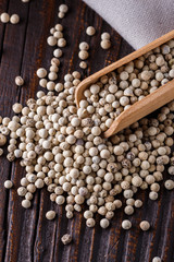 white peppercorns in wooden scoop on rustic background