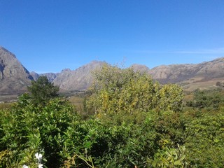 Looking up to the Mountains 