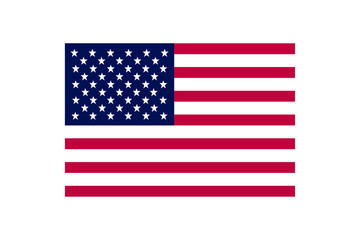 Flag of USA vector icon 
