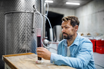 Man worker working indoors in cellar, wine making concept.