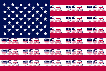 Flag of USA vector icon 