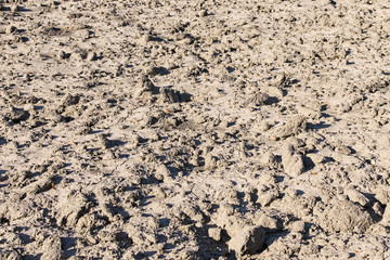Close-up view of empty land after harvesting. Dry black soil. Black Soil Texture Background. Dark ground surface. Texture soil dry crack background pattern of drought lack of water