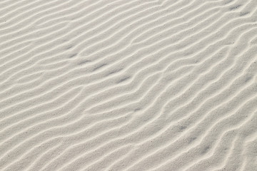 Fototapeta na wymiar sand ripples texture background.