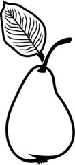 Vector illustration of the pear