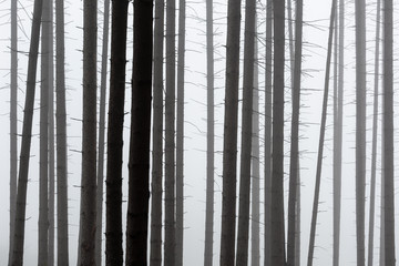 Turiec region, Slovakia.