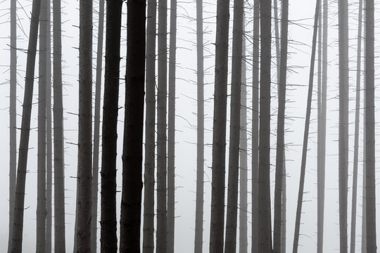 Turiec region, Slovakia.