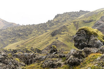 Black lava rock covered with moss looks like a giant head