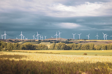 wheat field and windmills background with mountains, cloudy day