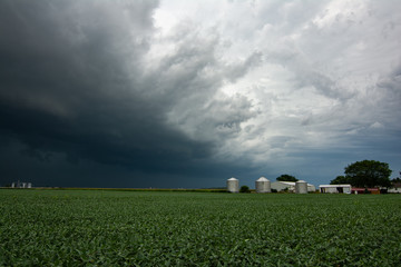 Incoming Derecho approaching across the corn fields.