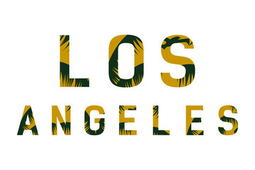 Los Angeles text vector icon 