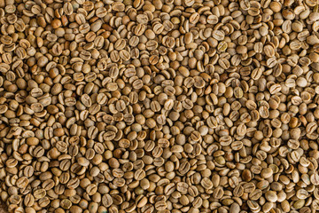 cafe en grano verde sobre tela de bolsa de arpillera