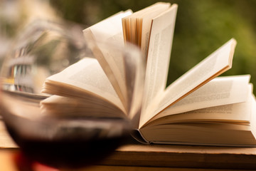 Book, wine, red wine, rainy weather, rainy, read, reading, relaxing, relax