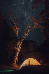 camping under the stars 