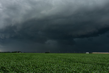 Incoming Derecho approaching across the corn fields.