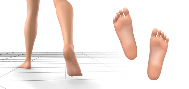 3d illustration,vector foot volume, health and shoe selection
