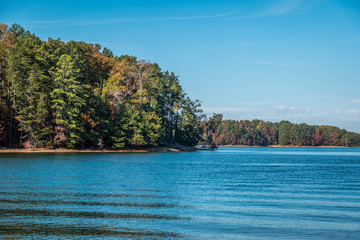 Autumn shoreline Lake Lanier Georgia