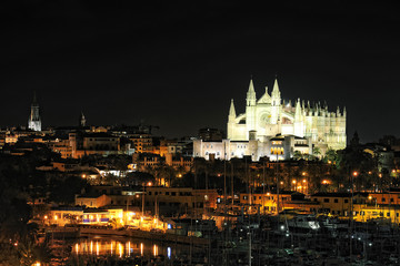 Fototapeta na wymiar the Cathedral of Santa Maria in Palma de Majorca at night