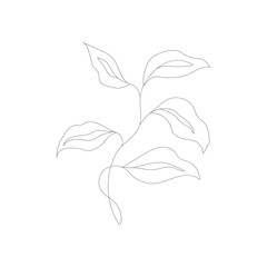 Naklejka premium Minimalism line drawing. Flower vector one line art. Botanical Sketch Vector Illustration. Nature vector Line drawing.